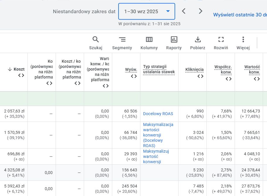 Wyniki kampanii Google Ads